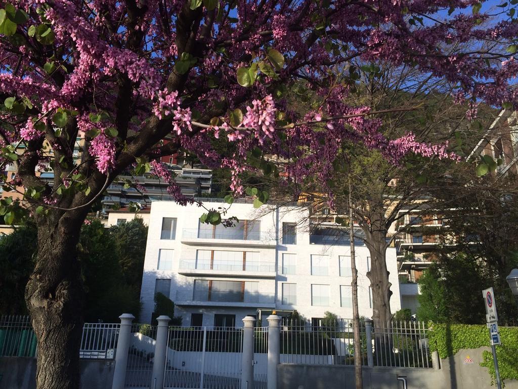 Villa Bianca Como Ruang foto